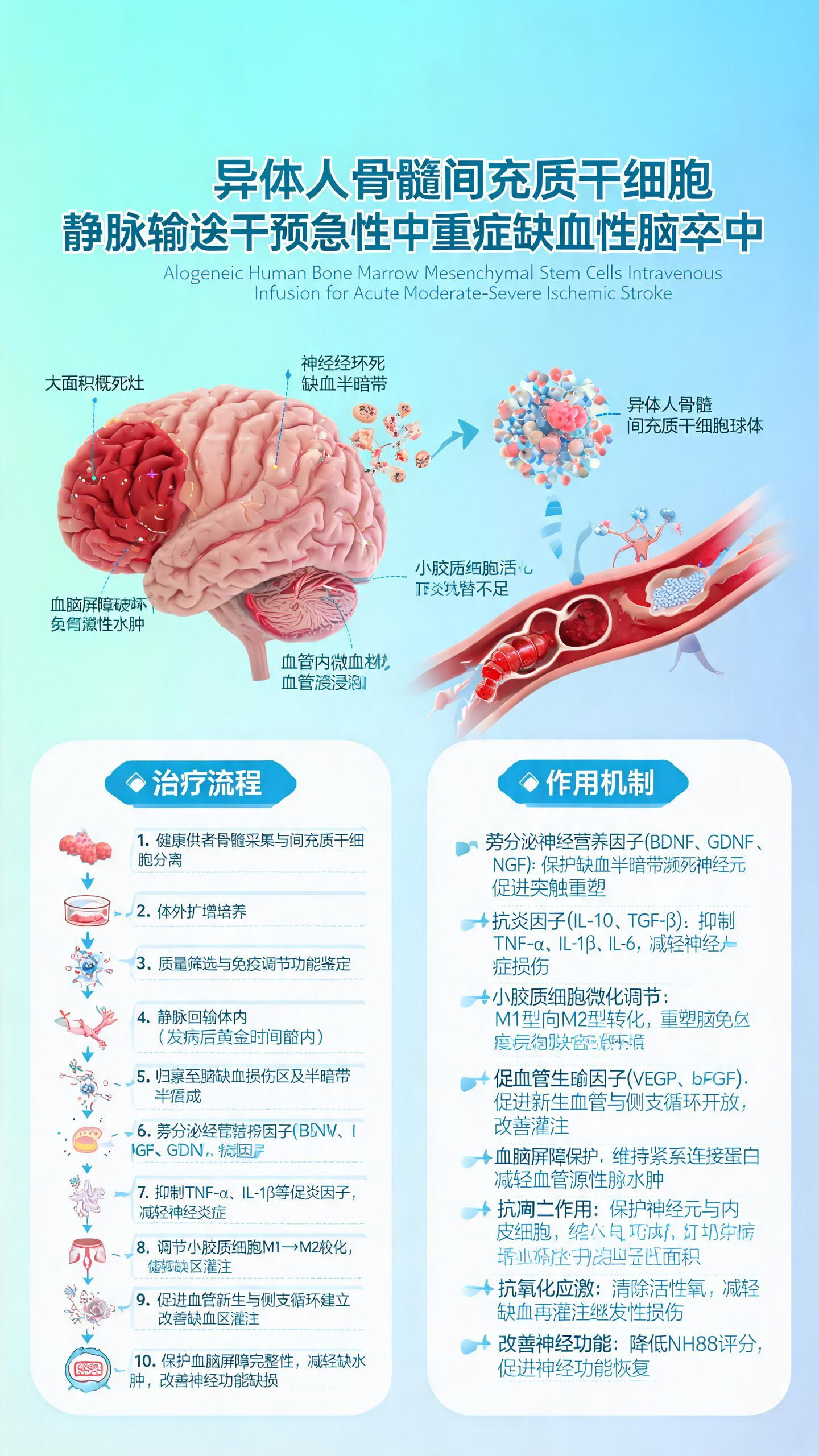 一张信息图海报，浅蓝绿渐变背景。左侧为异体人骨髓间充质干细胞球体与急性中重症缺血性脑卒中大脑组织模型的3D渲染图，重点展示大脑中动脉供血区大面积梗死灶、缺血半暗带、神经元坏死与凋亡、小胶质细胞活化与炎性浸润、血脑屏障破… - AI提示词参考图，来自西西提示词