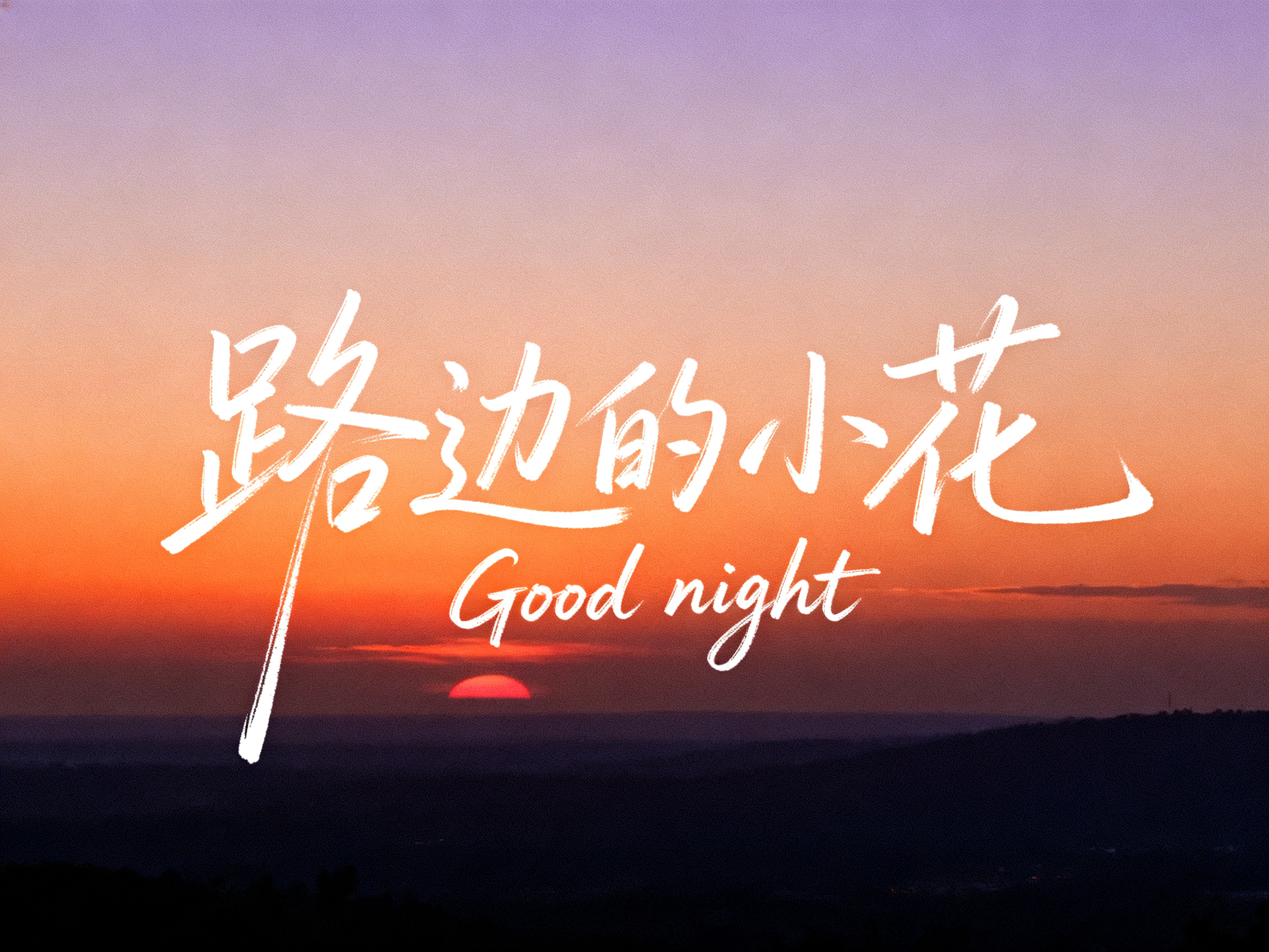 画面风格为简约文艺的手写字体风，背景为黄昏日落，营造深邃静谧氛围。主体文字 “路边的小花” 以流畅自然的手写笔触呈现，字体灵动飘逸，笔画粗细有致，具艺术感与参考图字体风格一致。英文 “Good night” 在中文下方… - AI提示词参考图，来自西西提示词