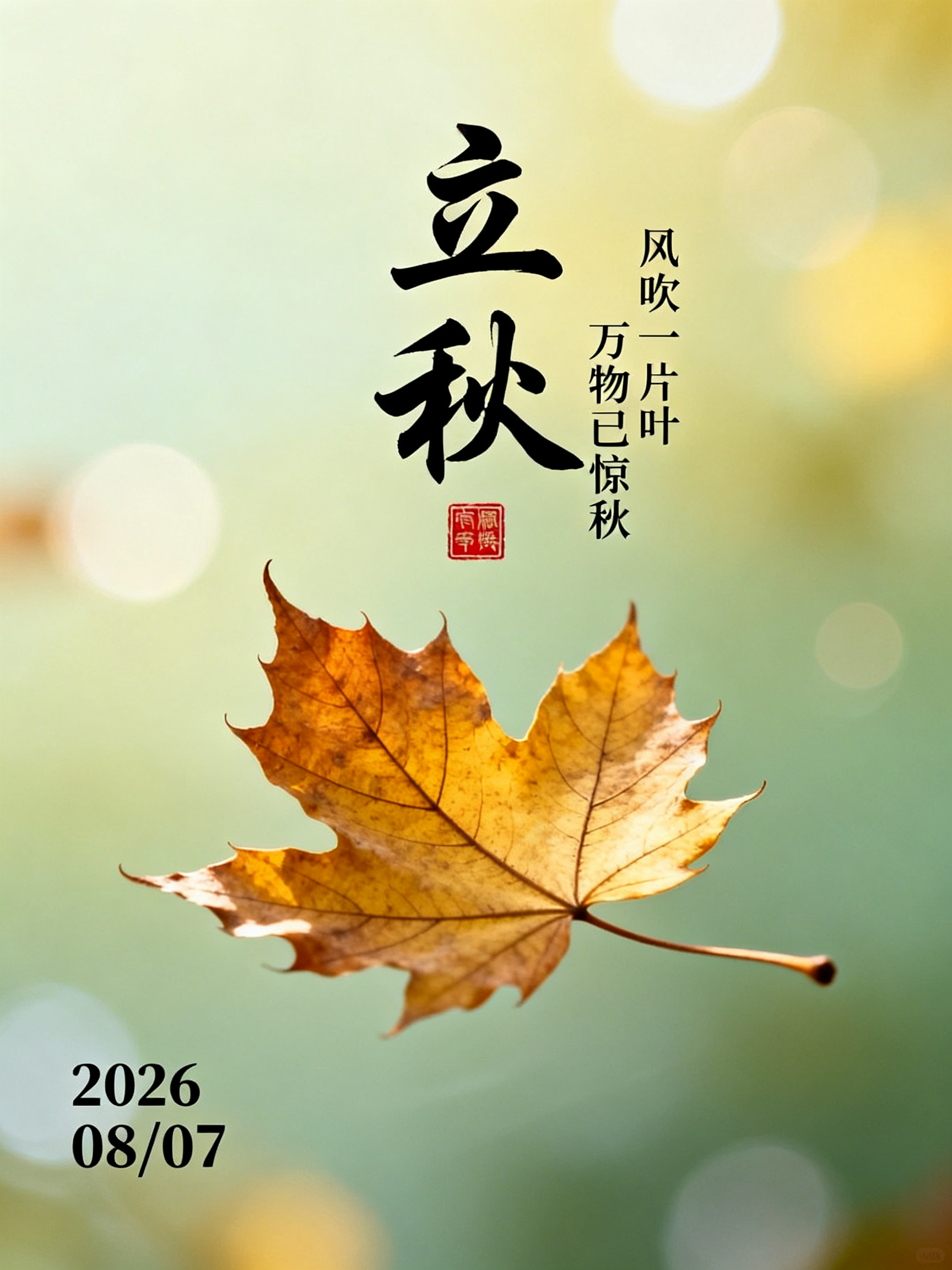 立秋节气文艺海报，柔和渐变浅黄绿朦胧虚化背景，弥散柔光，带有淡淡的秋日光斑。画面中心悬浮一片金黄干枯枫叶，叶片脉络清晰，轻盈舒展，呈现落叶随风飘荡的姿态。 文字布局：画面中上部竖向排布黑色书法字体立秋，字体下方配有红色… - AI提示词参考图，来自西西提示词