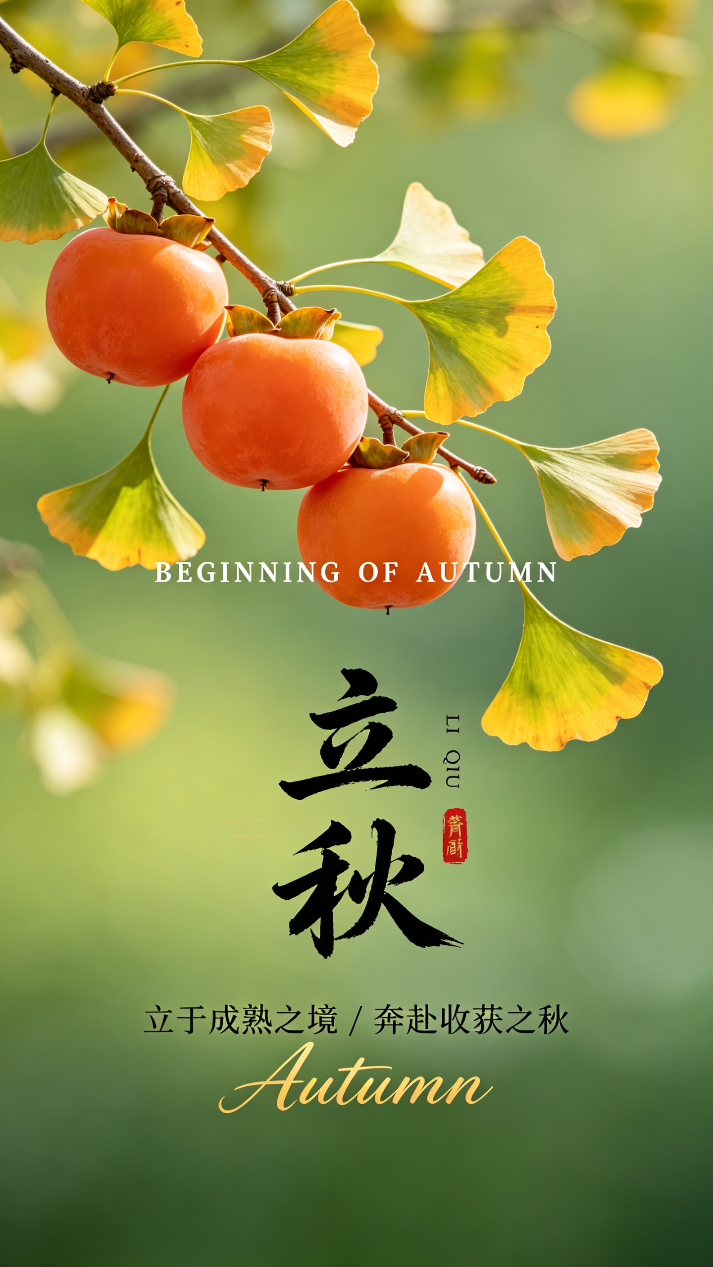 立秋节气治愈写实海报，绿色渐变虚化背景。画面左上角延伸出枝条，枝条挂着三颗圆润橙红色柿子，搭配黄绿相间的银杏叶片，自然光通透明亮，形成自然景深效果。 文字布局：柿子下方横向摆放白色英文 BEGINNING OF AUT… - AI提示词参考图，来自西西提示词