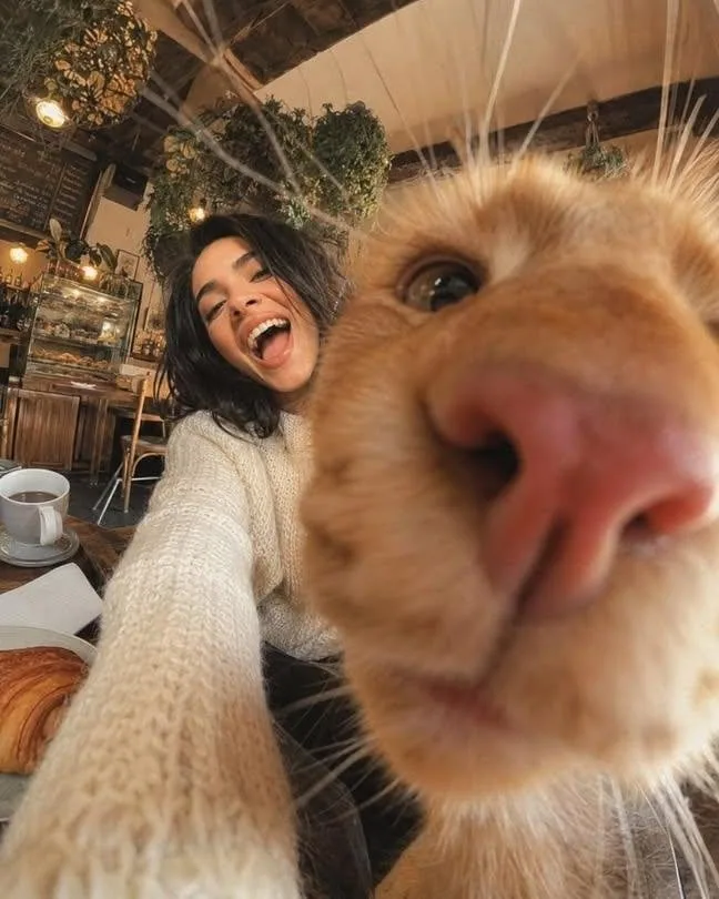 A hilarious, extreme 0.5x wide-angle low selfie looking up, ruined by a pet. An enormous fluffy orange cat pr… - AI提示词参考图，来自西西提示词