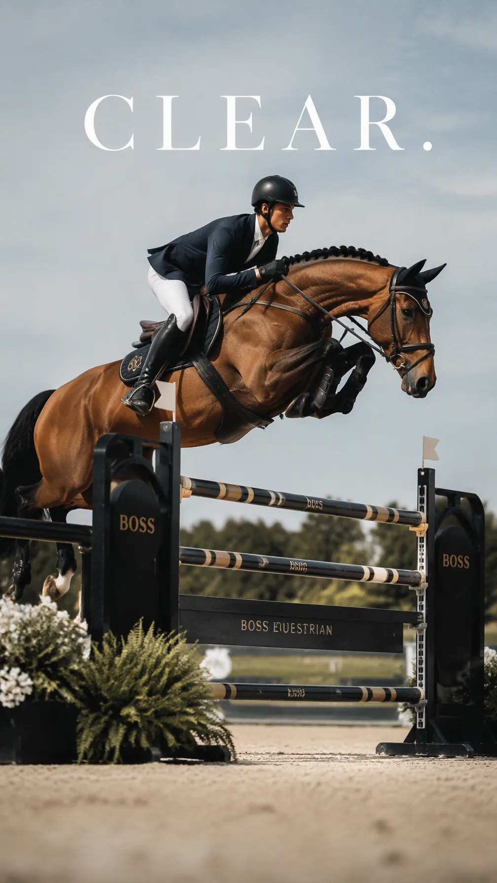 Create a premium 9:16 equestrian sports editorial.Main Subject:Young male show-jumping rider and horse captur… - AI prompt reference from CC Prompt Galaxy