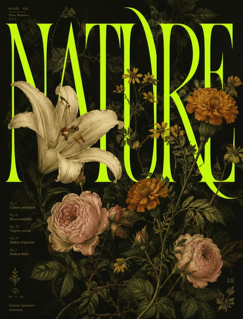 Editorial botanical poster design featuring the exact word “NATURE” n enormous uppercase neon acid green typo… - AI提示词参考图，来自西西提示词