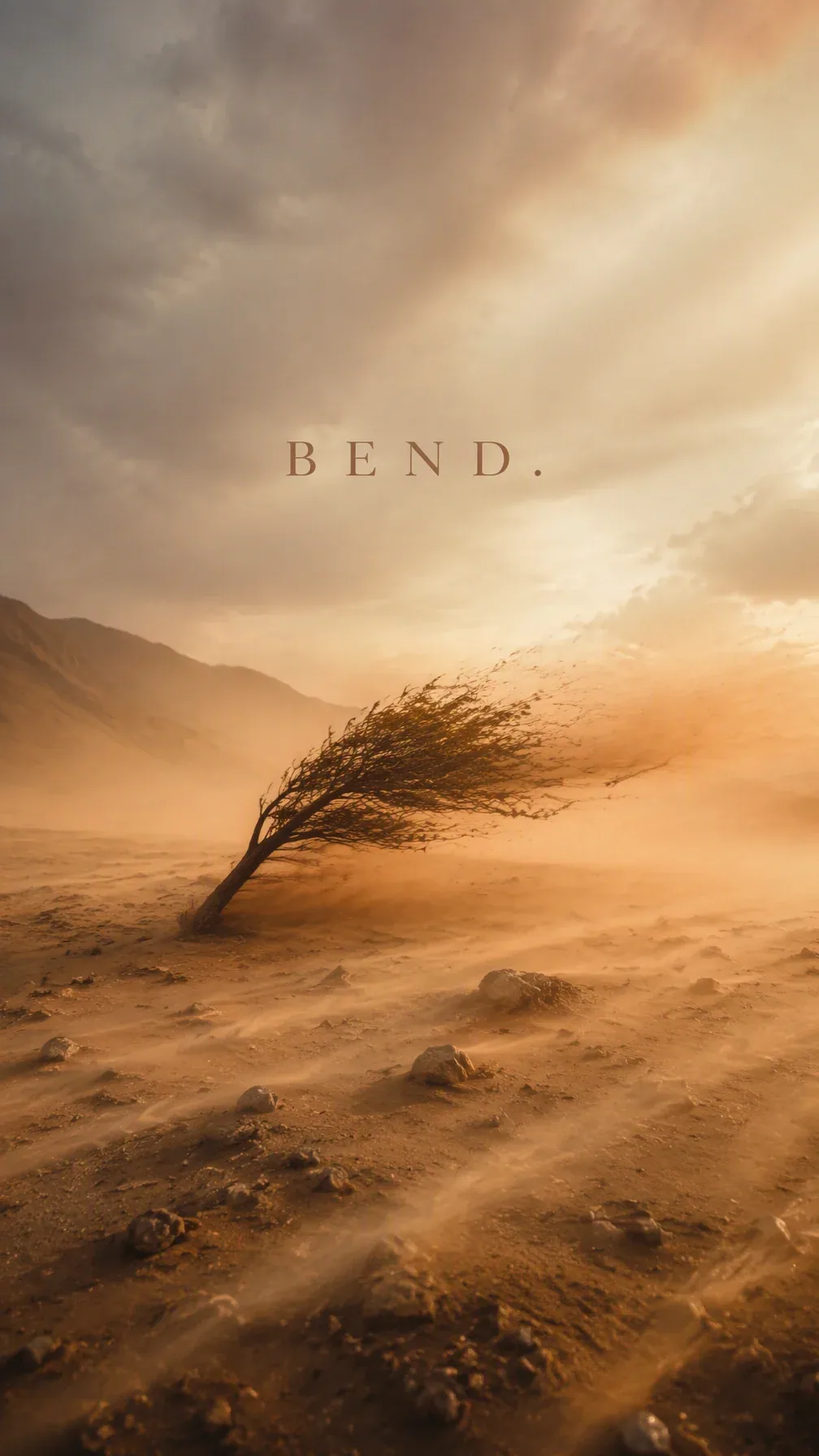 Create a premium 9:16 weather editorial. Main Subject: A lone tree bent sideways by strong desert wind, sand … - AI提示词参考图，来自西西提示词
