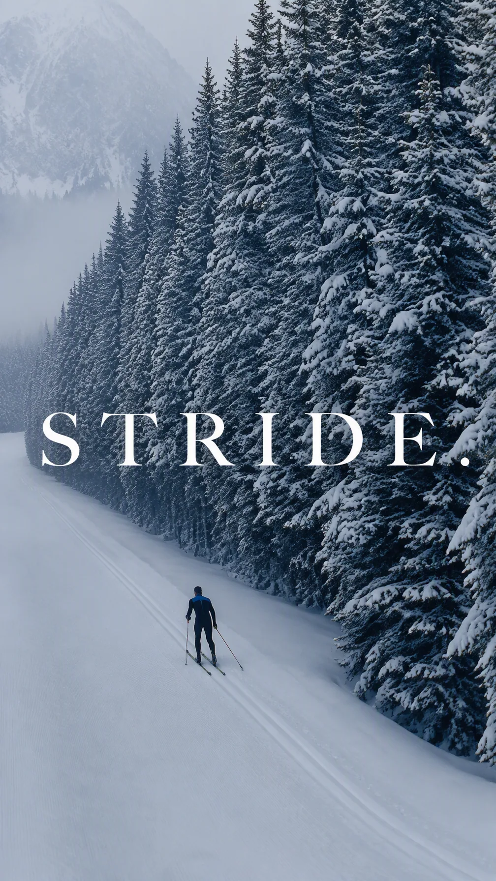 Create a premium 9:16 winter sports editorial. Main Subject: Young male cross-country skier gliding through a… - AI提示词参考图，来自西西提示词