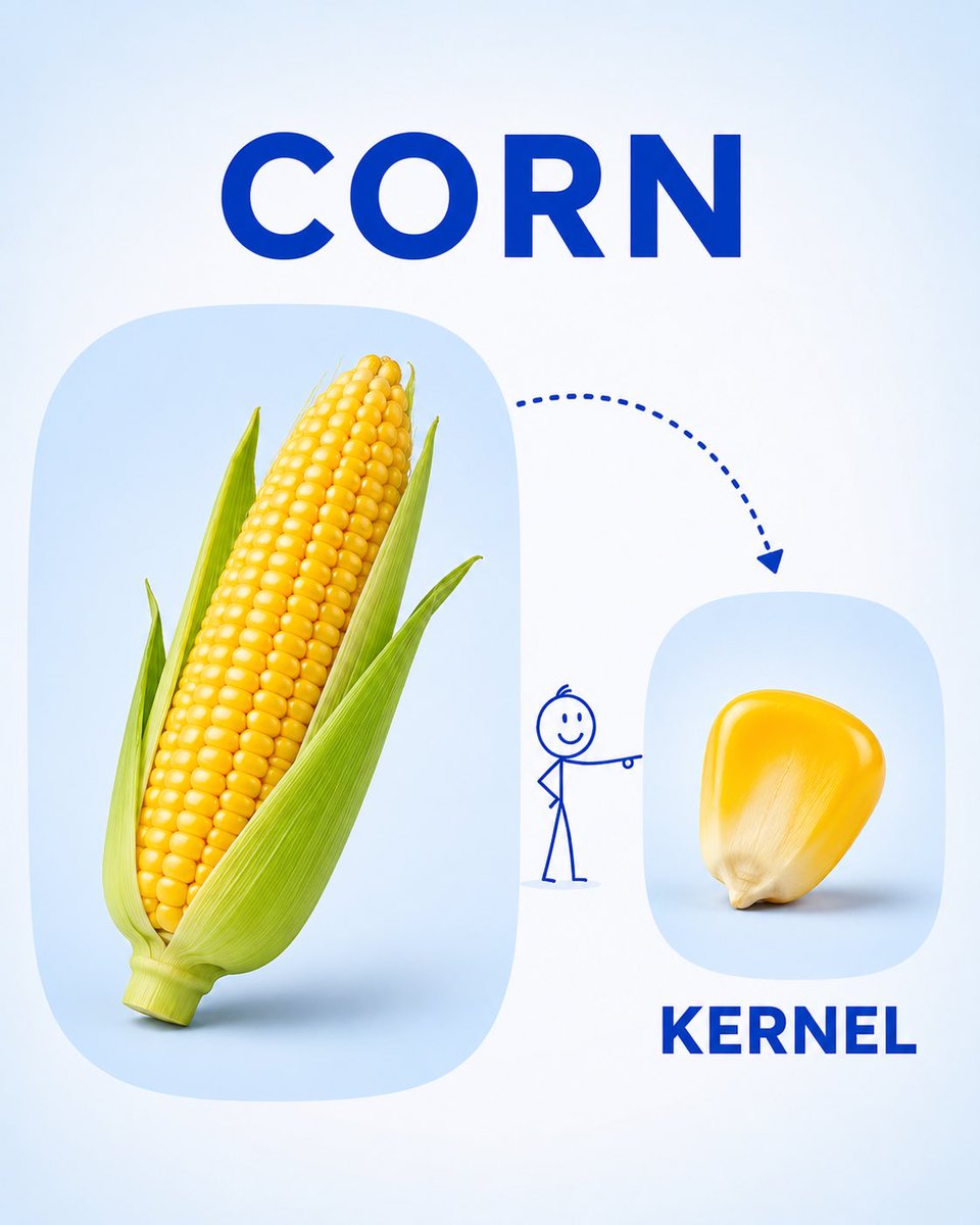 Create a clean, child-friendly educational vocabulary poster for preschool/kindergarten children, inspired by… - AI提示词参考图，来自西西提示词