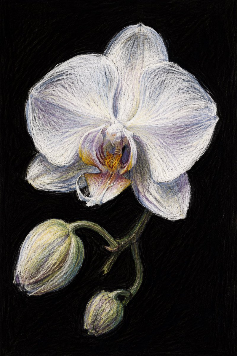 An expressionistic casual colored pencil sketch, with various intensity of color throughout as if the pencil … - AI提示词参考图，来自西西提示词