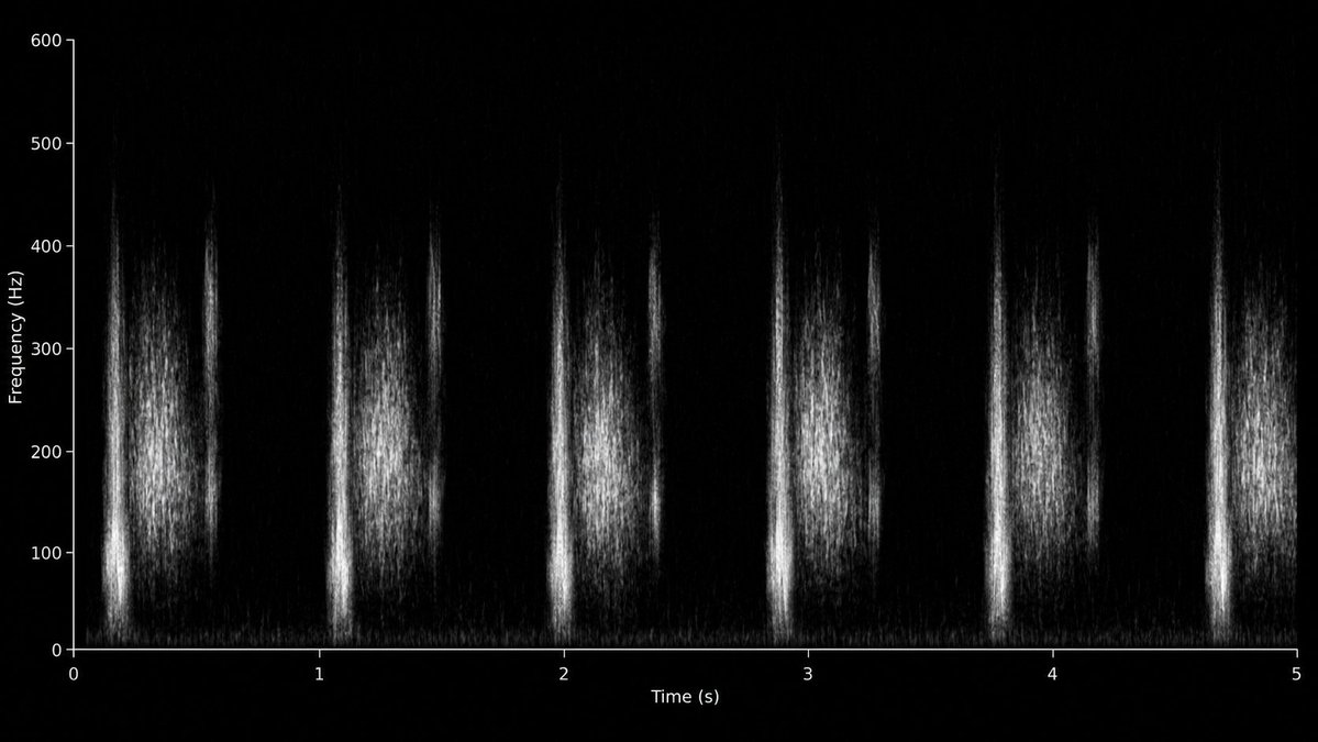 create a spectrogram of {argument name="condition" default="aortic stenosis"} - AI提示词参考图，来自西西提示词